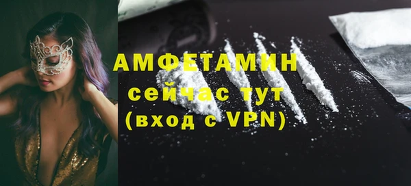 шишки Арсеньев