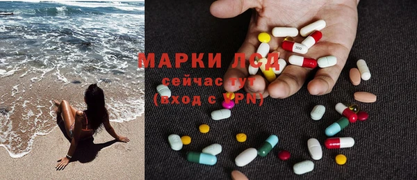 шишки Арсеньев