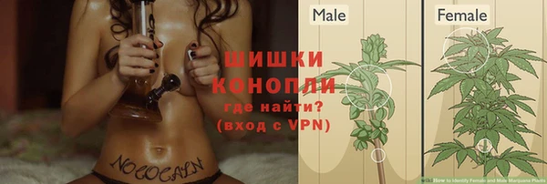 шишки Арсеньев