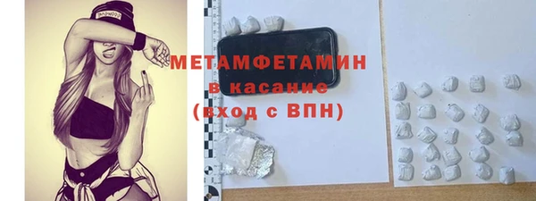 шишки Арсеньев
