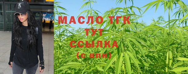 шишки Арсеньев