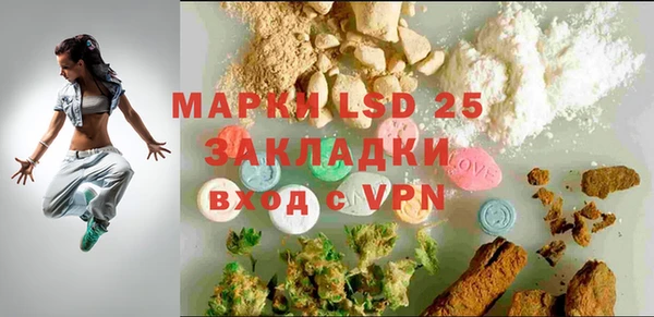 шишки Арсеньев