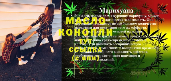 шишки Арсеньев